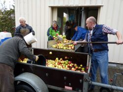 Obsternte Und Maischen 2012 16